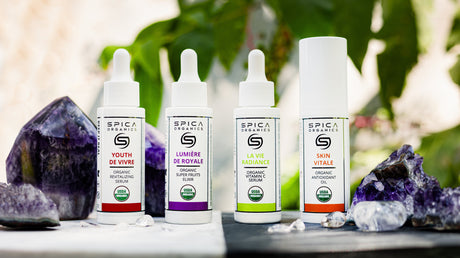 Complete Organic Skincare Collection - Superfruit Serums Antioxidant Oils Vitamin C Formulas - Spica Organics